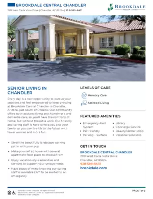 Icon of Community Brochure