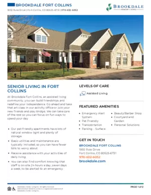 Icon of Community Brochure