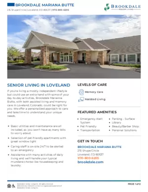 Icon of Community Brochure