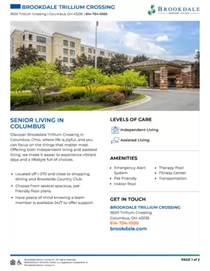Icon of Community Brochure
